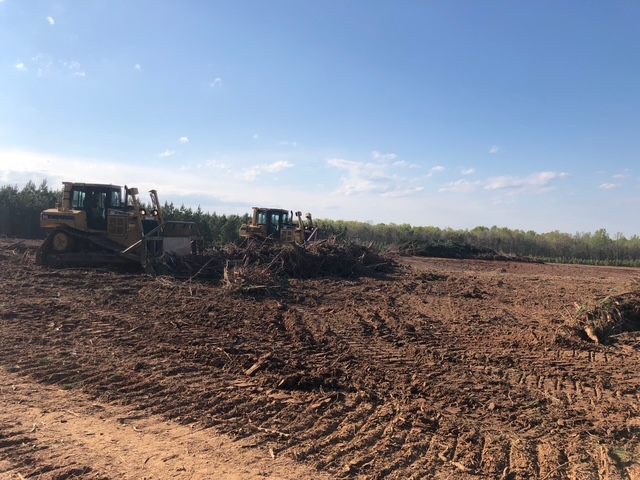 Dozers clearing and grubbing timber debris on a cleared site