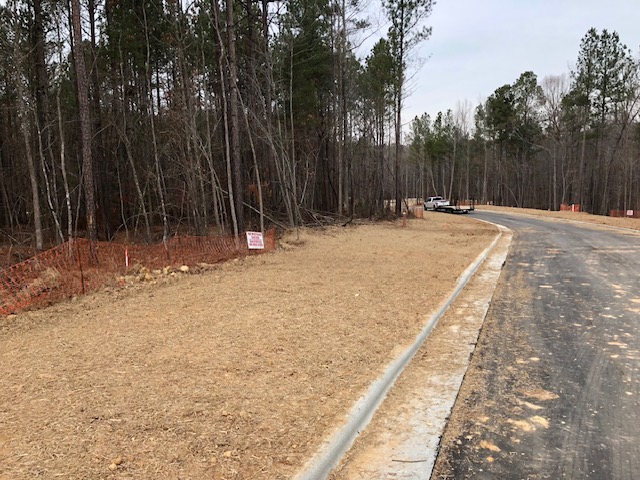 Finished curb and gutter along a newly paved subdivision roadway